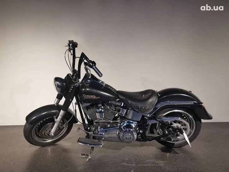 Harley-Davidson FLSTF Image 1